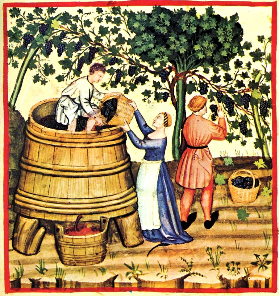 29-autunno,Taccuino Sanitatis, Casanatense 4182.