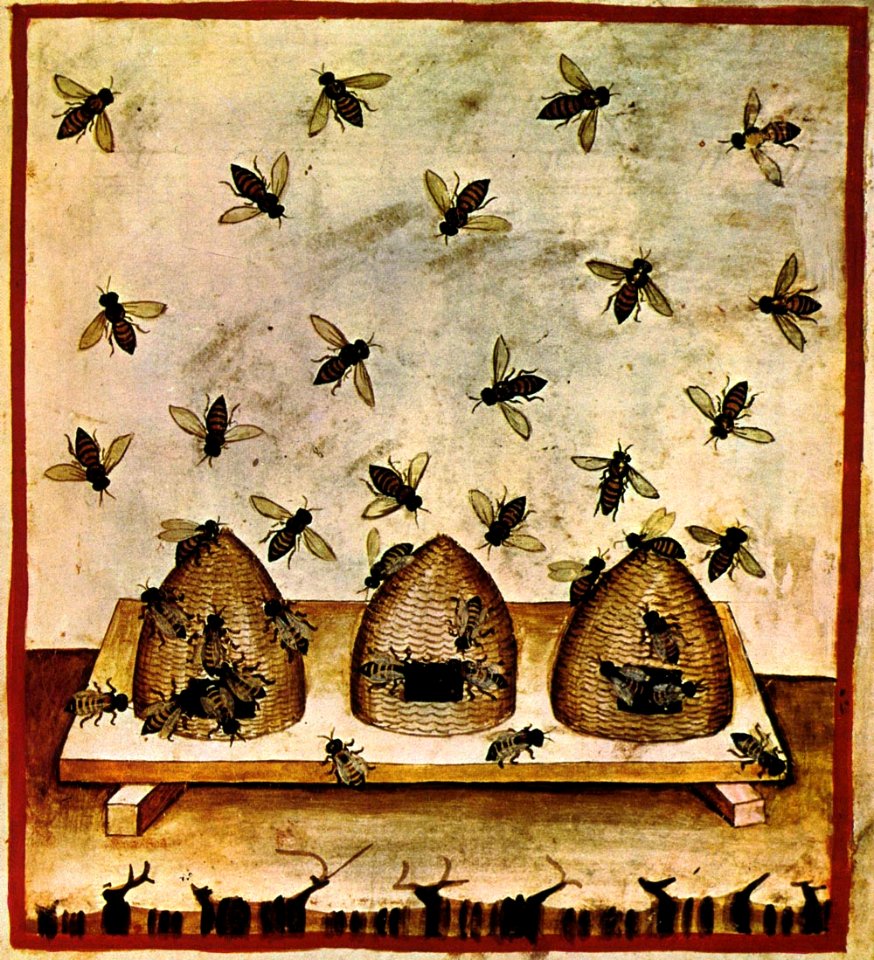27-alimenti, miele, Taccuino Sanitatis, Casanatense 4182.
