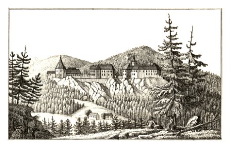 293 Burg Strechau, Lassing, gez. Hofrichter - J.F.Kaiser Lithografirte Ansichten der Steiermark 1830