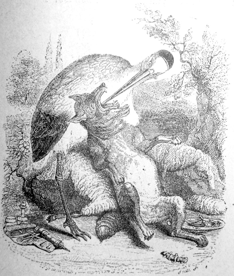 3-9-Le-loup-et-la-cigogne