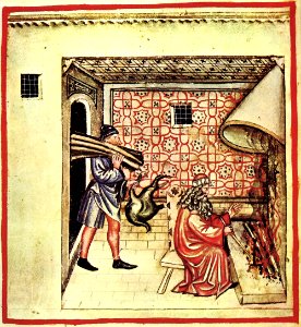 30-inverno,Taccuino Sanitatis, Casanatense 4182.