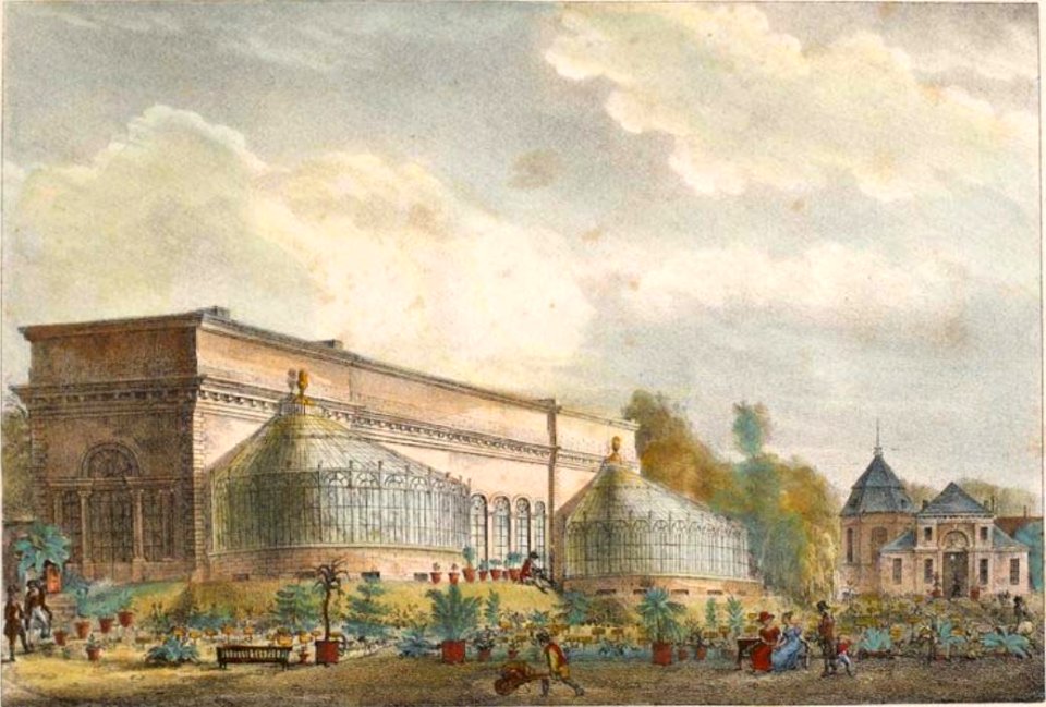 3. Serres du Jardin botanique de l'université de Louvain. de Marbaix Jobard