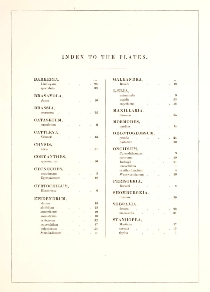 3 Index-Orch Mex.Guat.-Bateman