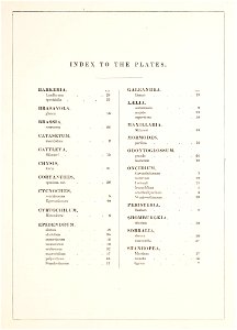 3 Index-Orch Mex.Guat.-Bateman