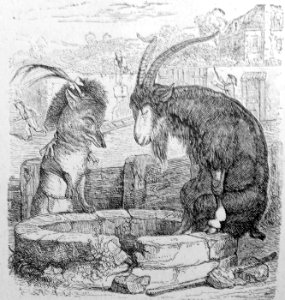 3-5-Le-renard-et-le-bouc