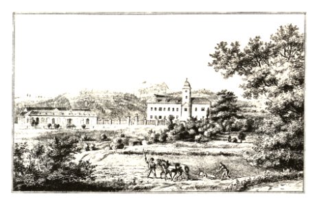 321 Schloss Waasen, St. Ulrich am Waasen - J.F.Kaiser Lithografirte Ansichten der Steiermark 1830