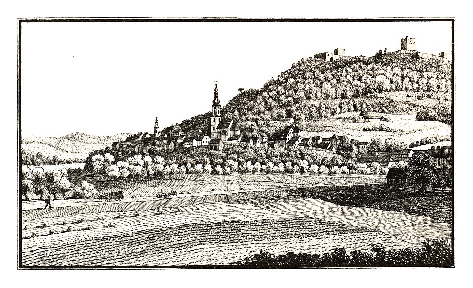 338 Markt Wildon mit der Ruine Oberwildon - Gezeichnet v. Wonsidler, lith. Folwarczni - J.F.Kaiser Lithografirte Ansichten der Steiermark 1830