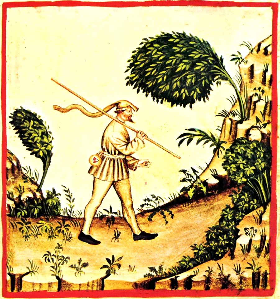 33-vento orientale,Taccuino Sanitatis, Casanatense 4182.