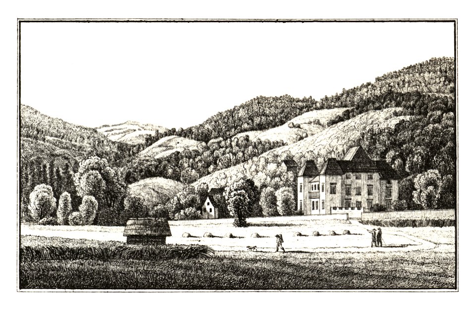 336 Schloss Wildbach, Deutschlandsberg - J.F.Kaiser Lithografirte Ansichten der Steiermark 1830