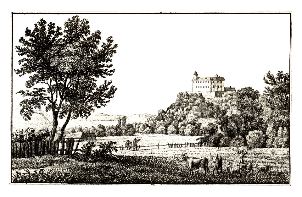 326 Schloss Weissenegg, Mellach - J.F.Kaiser Lithografirte Ansichten der Steiermark 1830