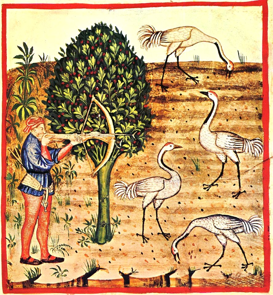 35-caccia gru,Taccuino Sanitatis, Casanatense 4182.