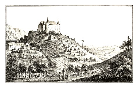 342 Wisell, Schloß — Bizeljsko, - J.F.Kaiser Lithografirte Ansichten der Steiermark 1830