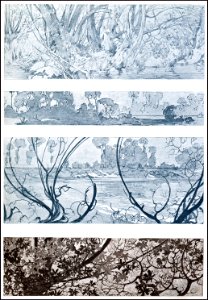 44 mucha documentsdecoratifs 1901