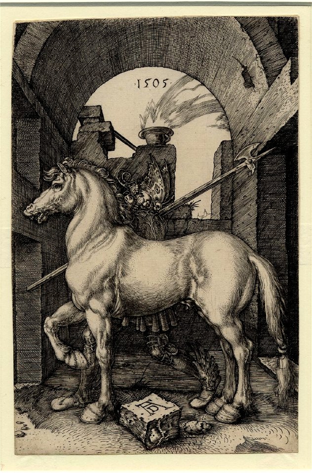 43 Small Horse