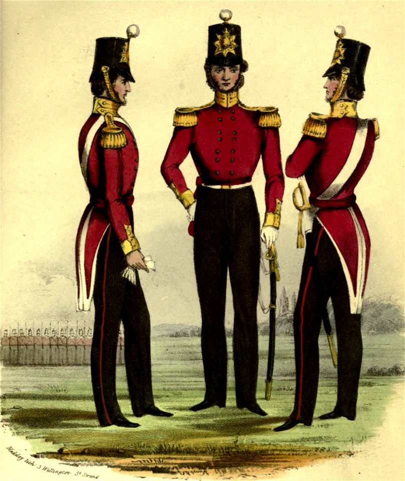 46th Foot uniform