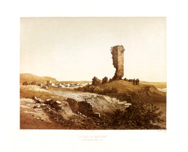 49.Ruines a Tantoura, (site de l'ancienne ville de Dor)