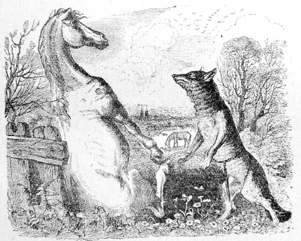 5-8-Le-cheval-et-le-loup