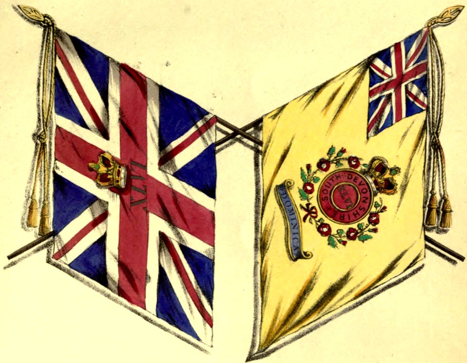 46th Foot colours