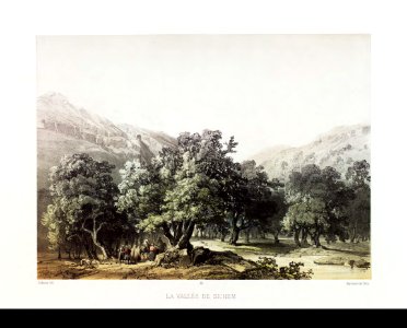 53.La vallee de Sichem