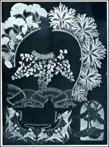52 mucha documentsdecoratifs 1901