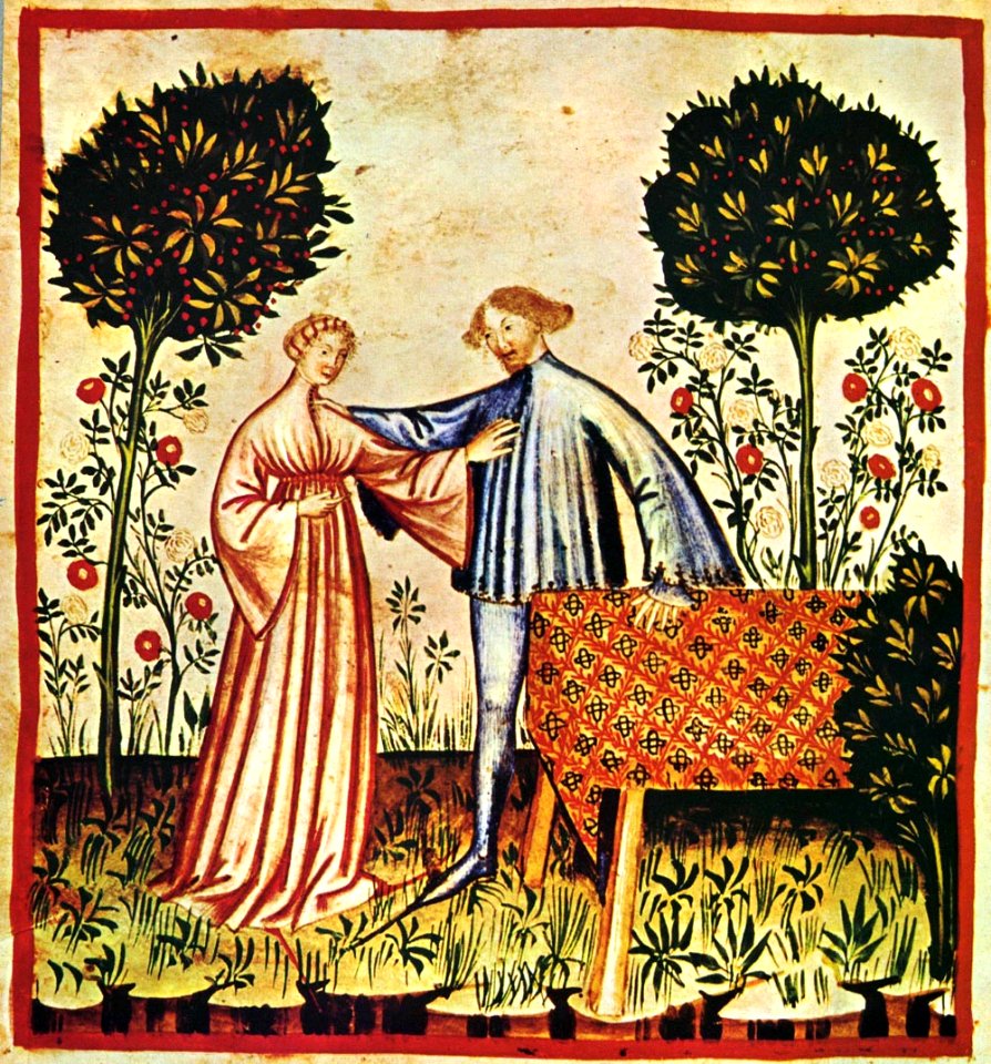 55-aspetti di vita quotidiana, gioia,Taccuino Sanitatis, Cas