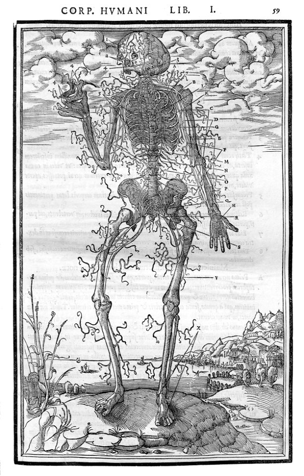 59 Charles Estienne 1545
