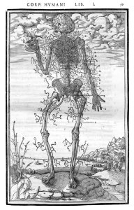 59 Charles Estienne 1545