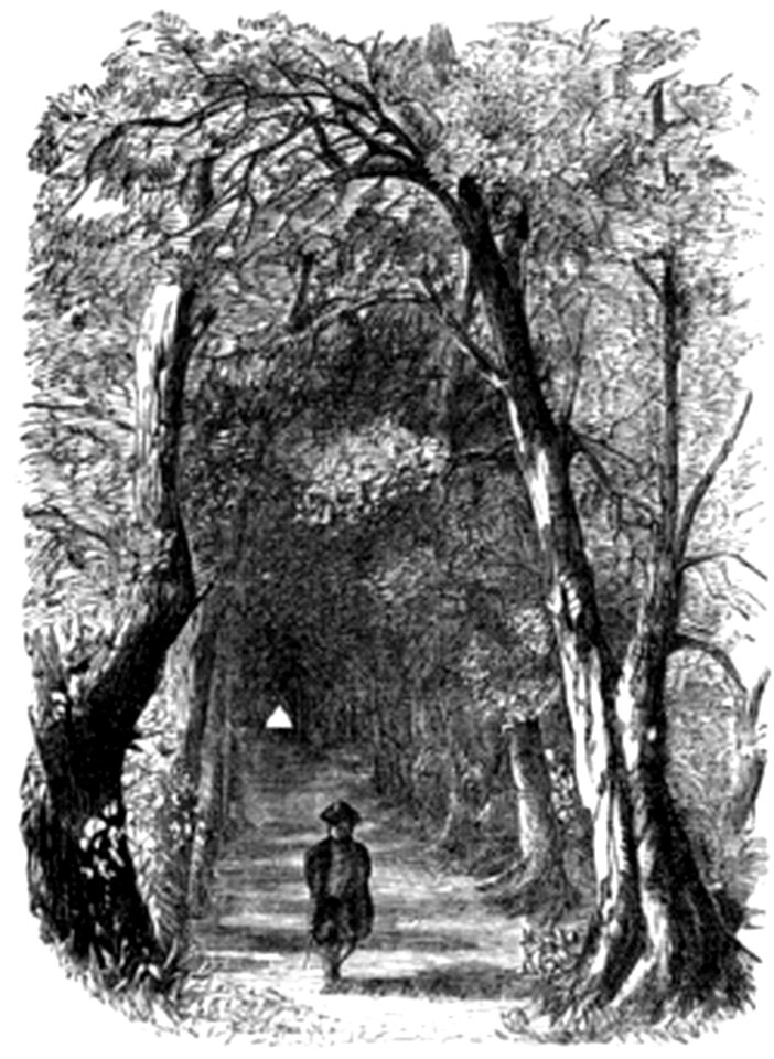 594a Addison's Walk at Oxford