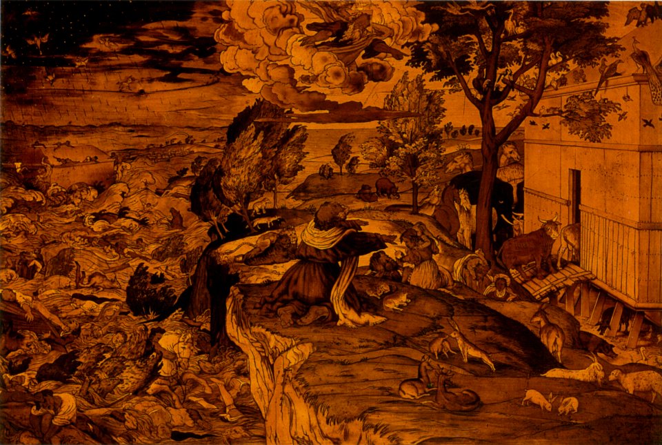 57.0 arca di noè