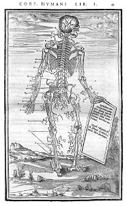63 Charles Estienne 1545