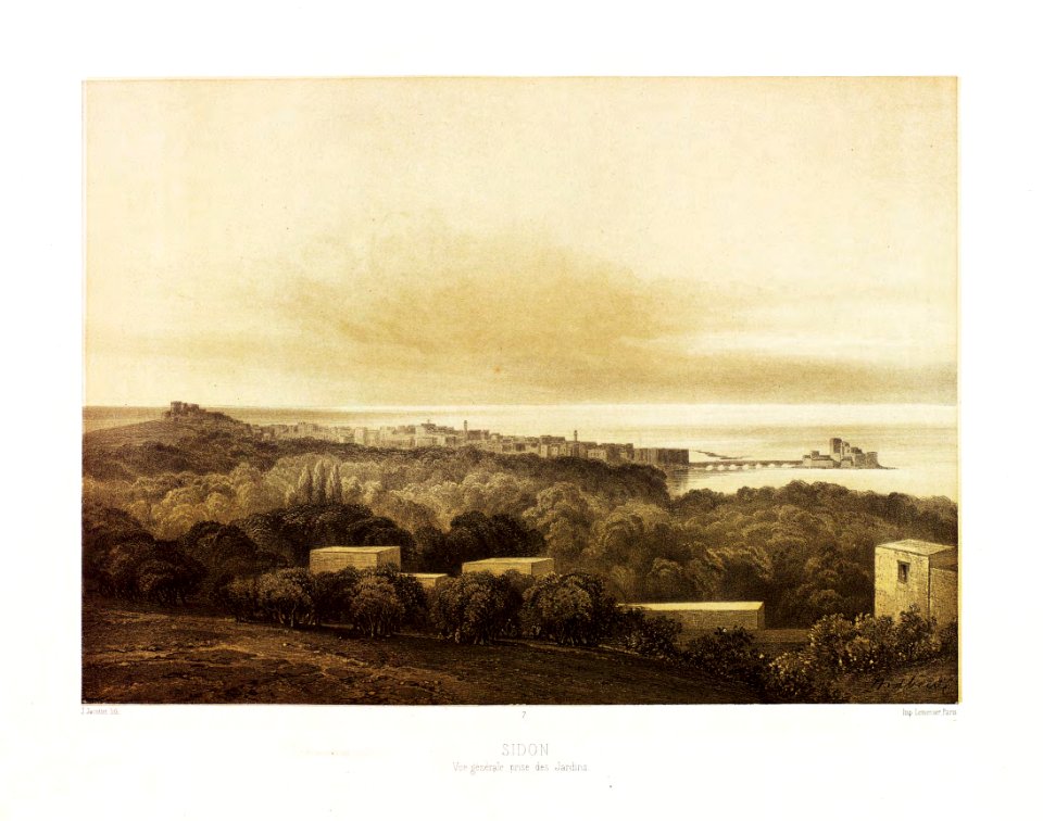 7.Sidon, vue generale prise des Jardins