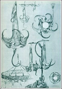 71 mucha documentsdecoratifs 1901