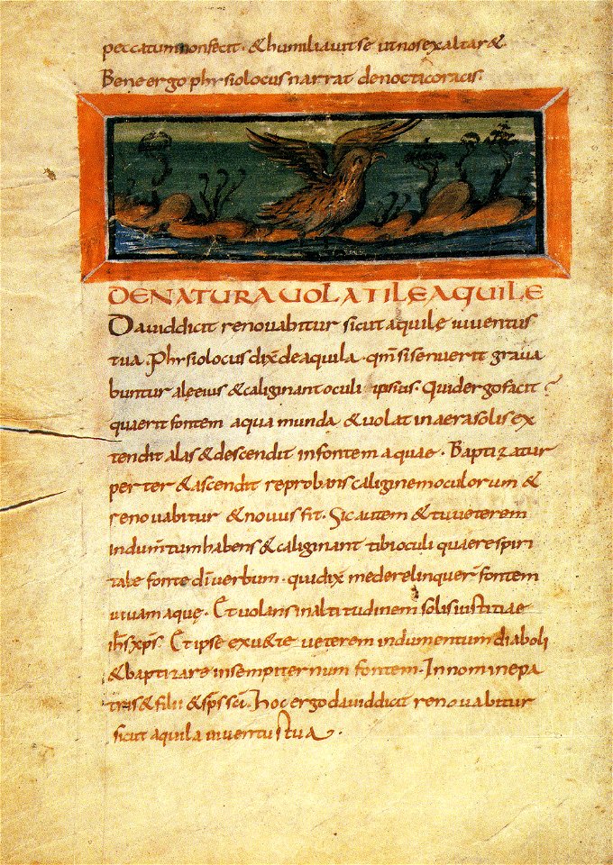 74-Fisiologo di Berna - Aquile