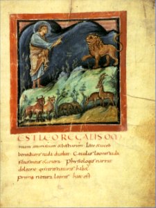 75-Fisiologo di Berna - Leone