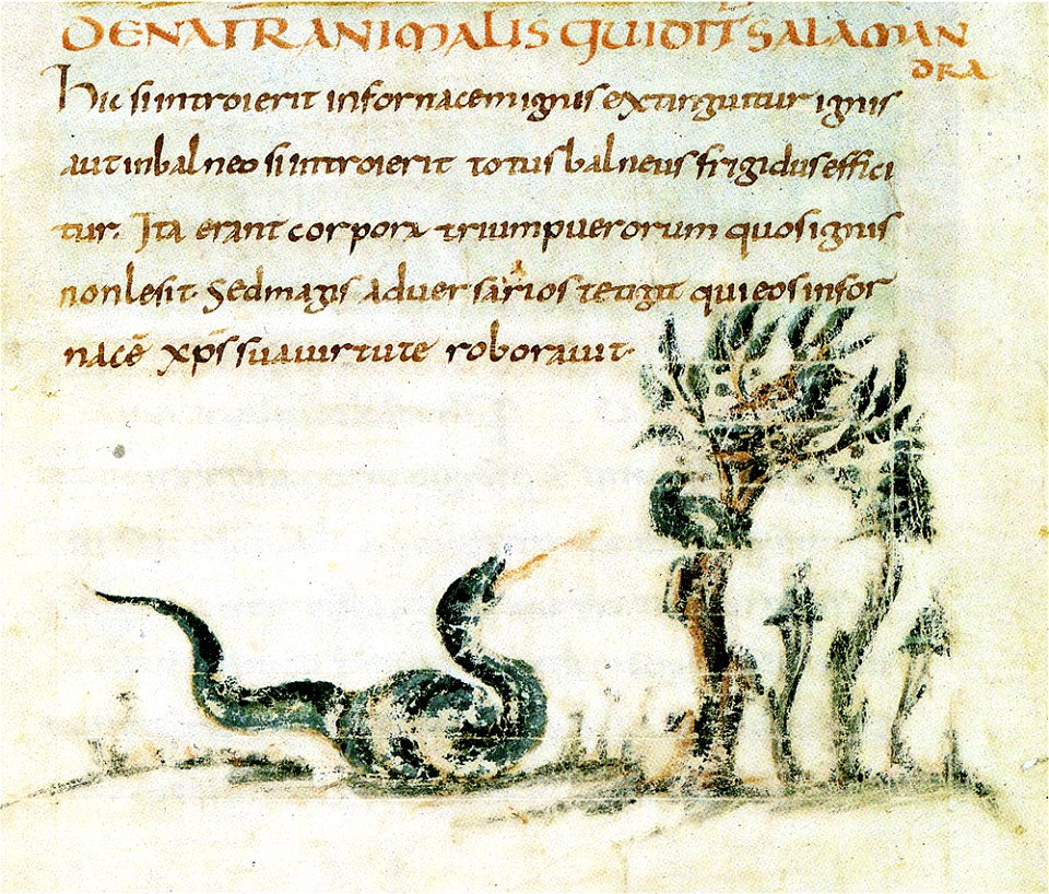 78-Fisiologo di Berna - Salamandra