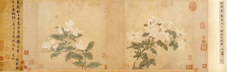 8 Qian Xuan. Crabapple and Gardenia. (29.2 x 78.3 cm) Freer Gallery of Art, Washington - копия