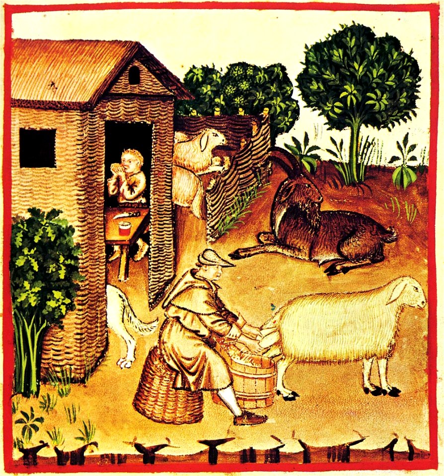 8-alimenti, latte, Taccuino Sanitatis, Casanatense 4182.