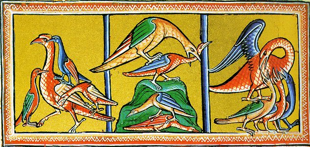 80-Oxford 1511 - Pellicano