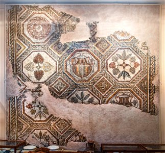81 - Mosaïque de la villa gallo-romaine de Las Peyras - Musée du Pays rabastinois