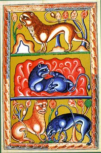 84-Oxford 1511 - Leone
