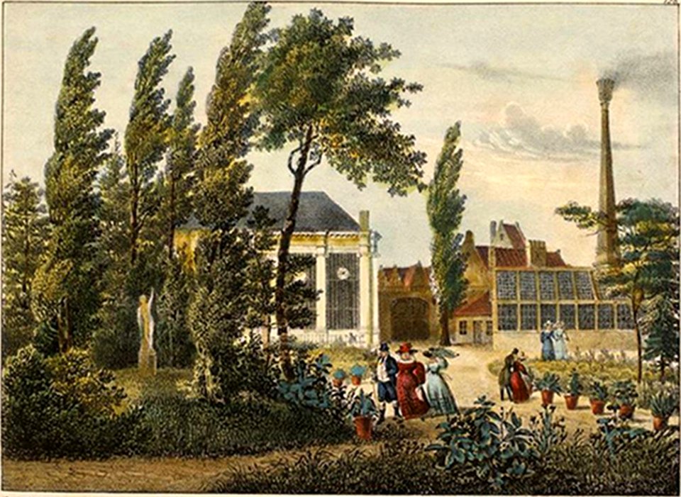 82. Vue du Jardin botanique de la ville de Gand