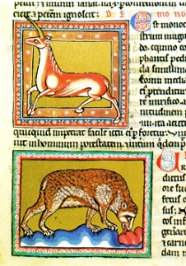 85-Oxford 1511 - Unicorno