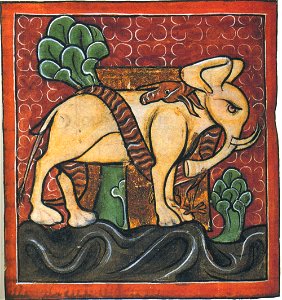 83-Oxford Bodley 764- Elefante