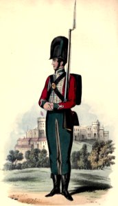 87th Foot uniform