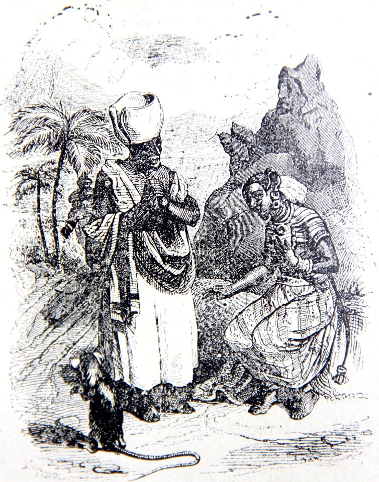 9-7-La-souris-metamorphosee-en-fille