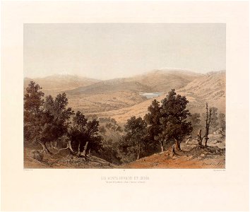 96.Les monts Hermon et Sunnin, vue de le crete oriental du Liban