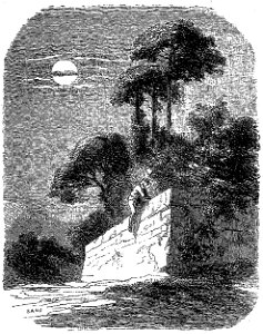 Sand - Œuvres illustrées de George Sand, 1854 (page 117 crop)