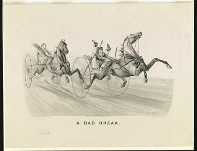 A bad break LCCN90708866