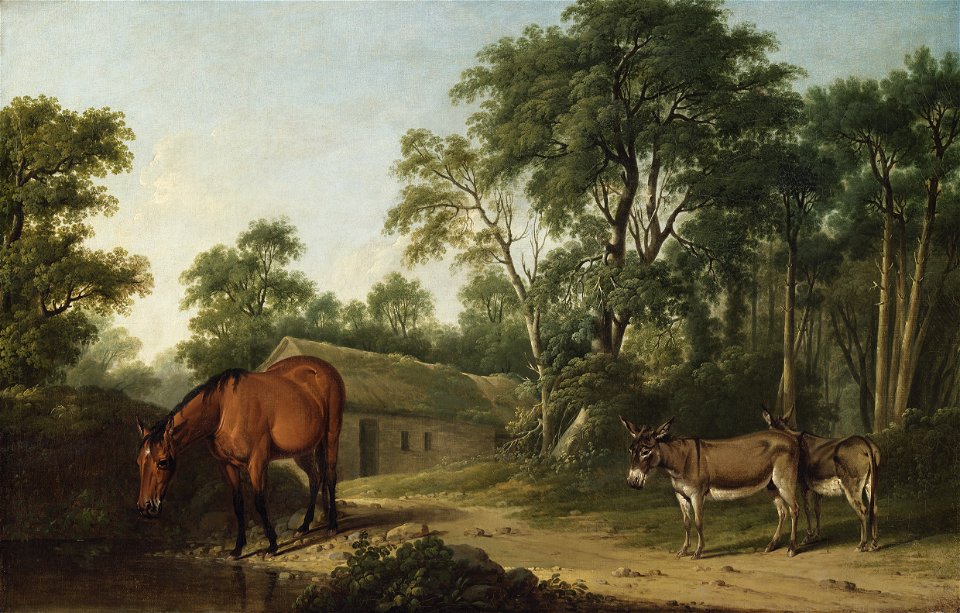 A Bay Horse and Two Donkeys P1915