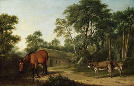 A Bay Horse and Two Donkeys P1915